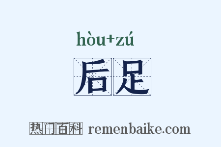 后足是什么意思的图片